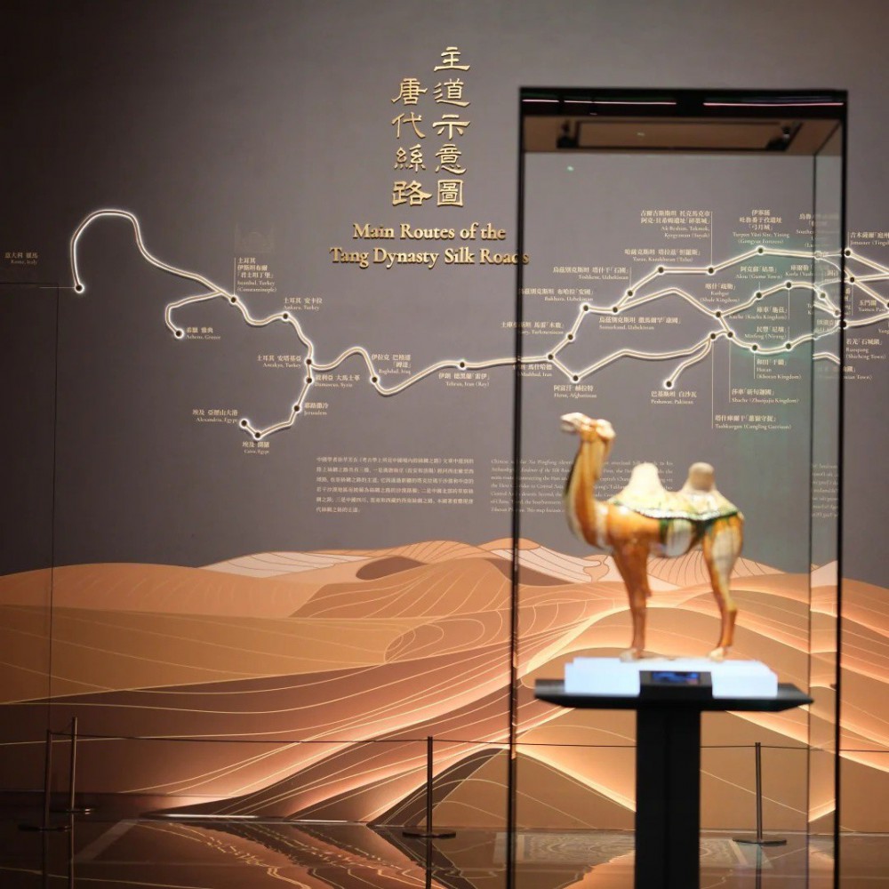 空间展厅、一站式服务